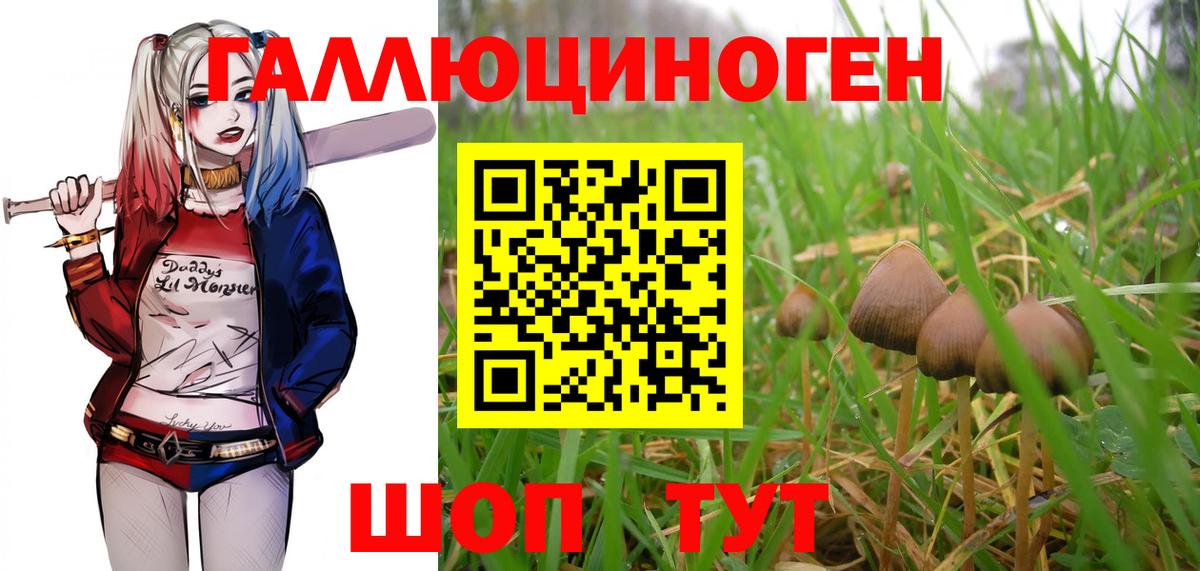 Ростов-на-Дону  Псилоцибиновые грибы Magic Shrooms  Вход с VPN  Псилоцибиновые грибы мухоморы 